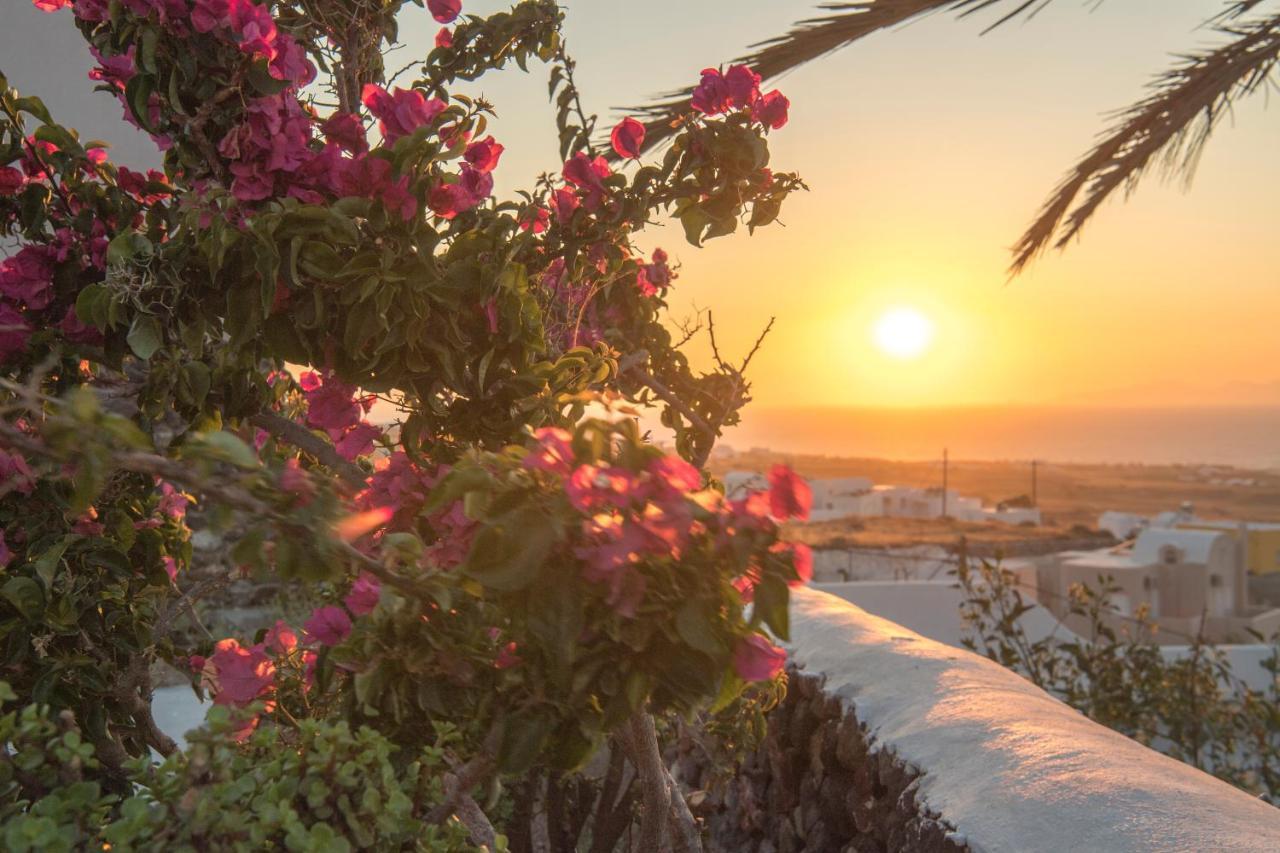 Aqua Serenity Luxury Suites Santorini Foinikia  Exterior photo